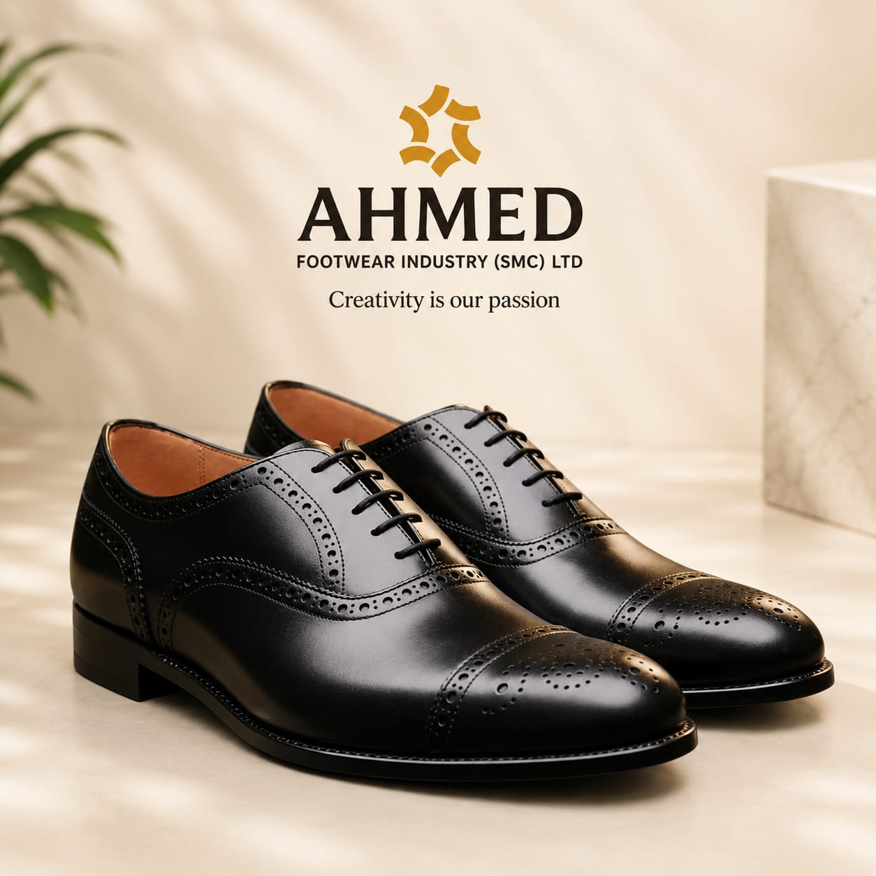 Ledre Shoes - 2683