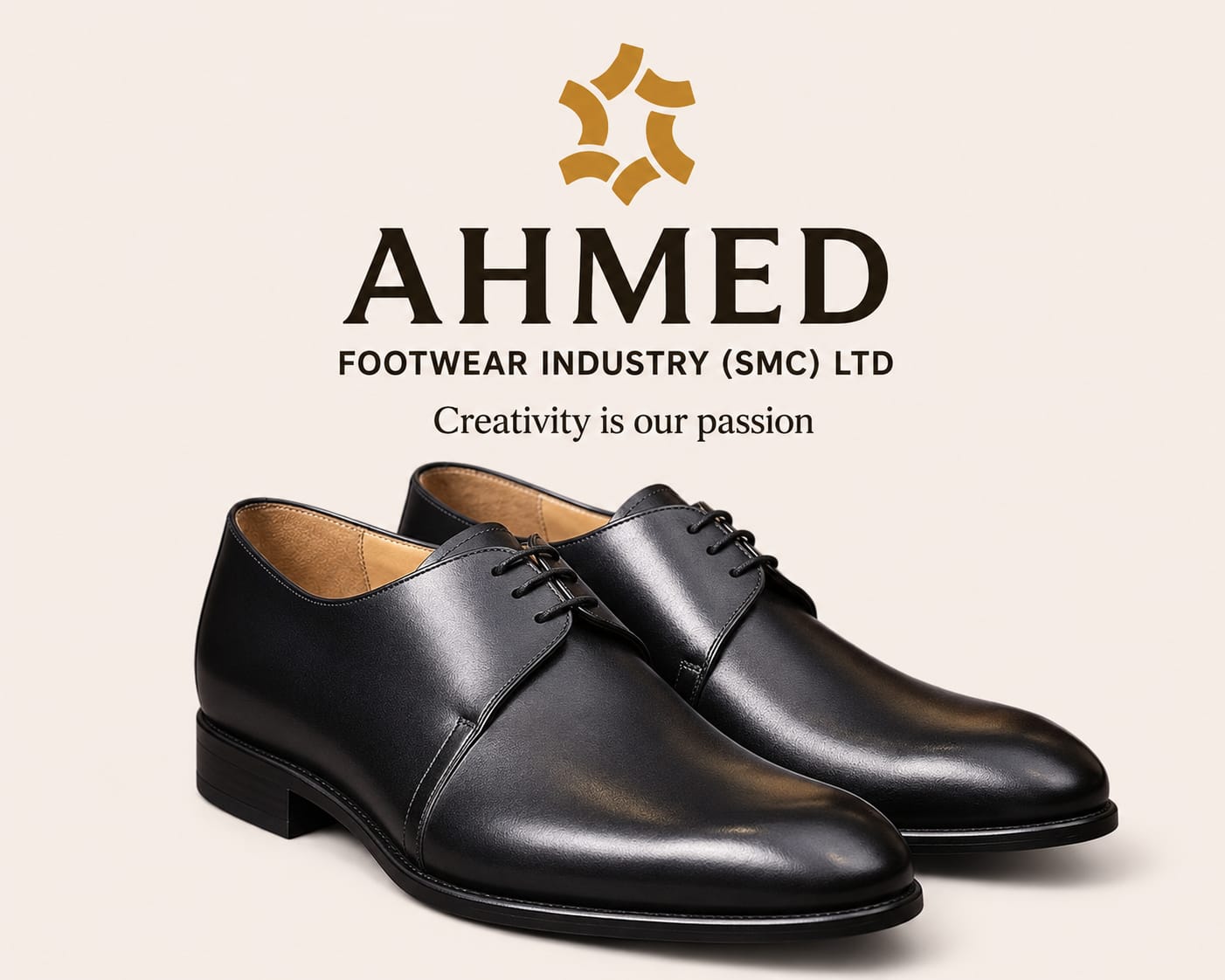 Ledre Shoes - 2690
