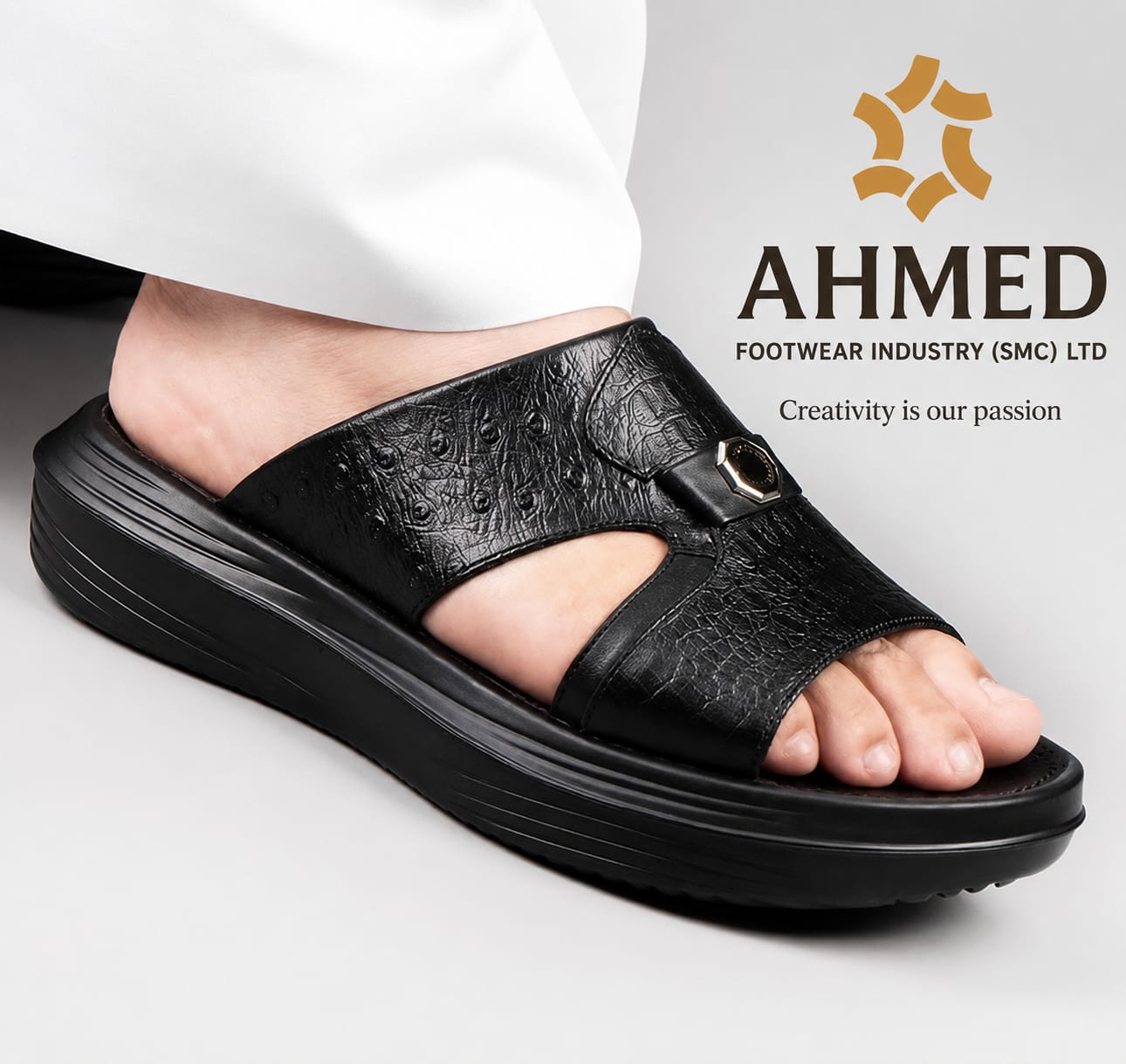 Medicare Article 2637