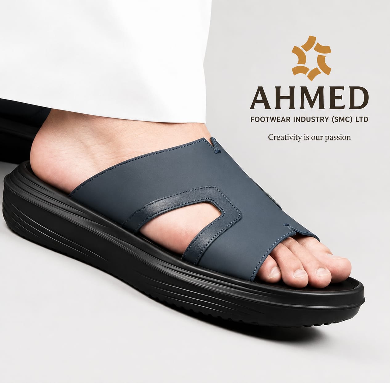 Medicare Article 2639