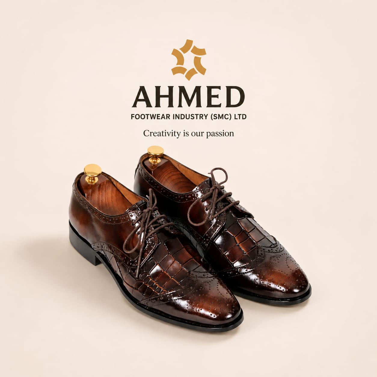Ledre Shoes - 2688